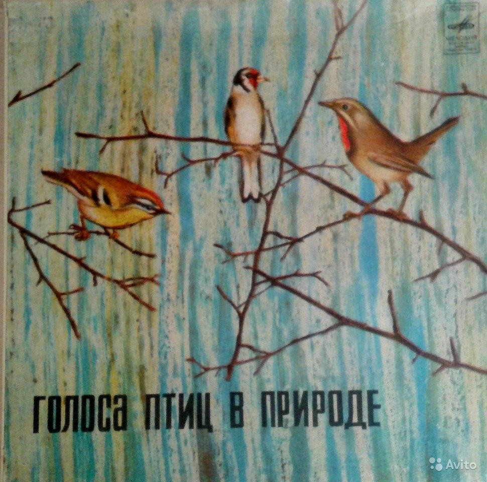 Голоса птиц в природе (5 пластинок)