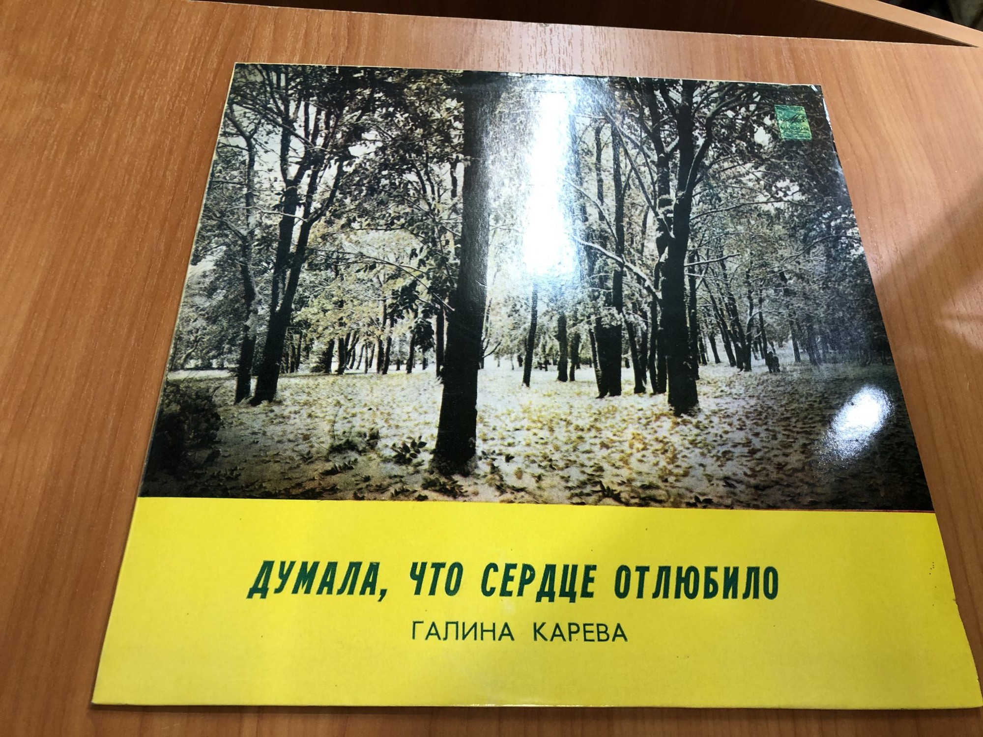 Галина КАРЕВА: "Думала, что сердце отлюбило" (романсы)