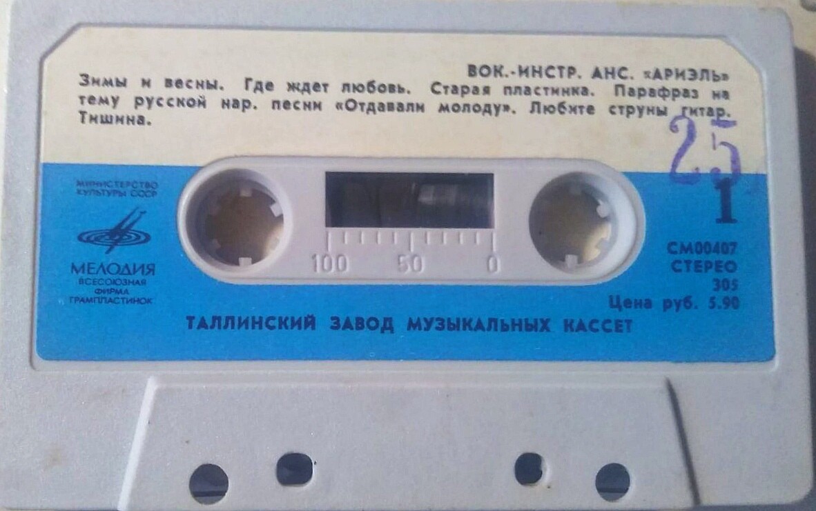 Вокально-инструментальный ансамбль "Ариэль"