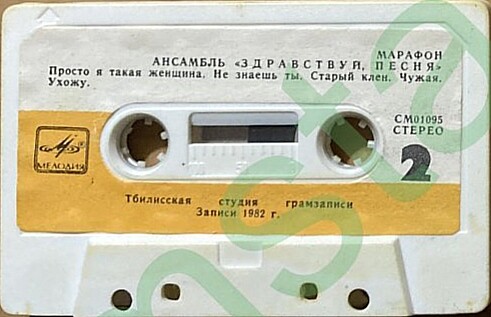 Марафон.  Ансамбль "Здравствуй, песня"