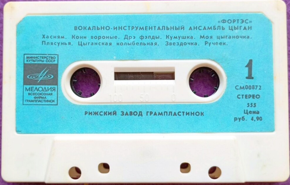 "Фортес" Вокально-инструментальный ансамбль цыган. Руководитель Л. Бродский