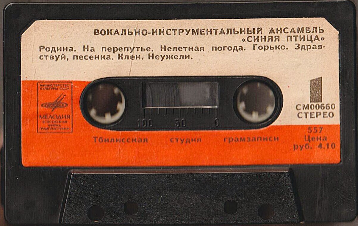 Вокально-инструментальный ансамбль "Синяя птица"