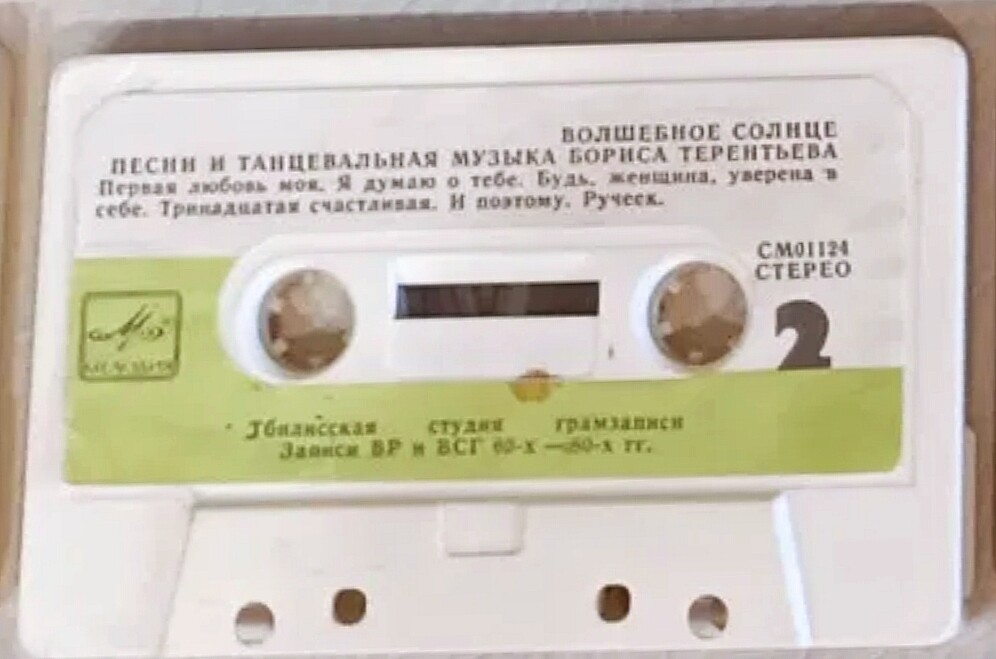 "Волшебное солнце". Борис Терентьев