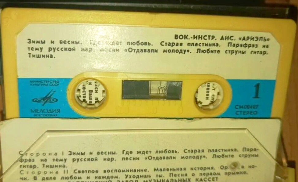 Вокально-инструментальный ансамбль "Ариэль"