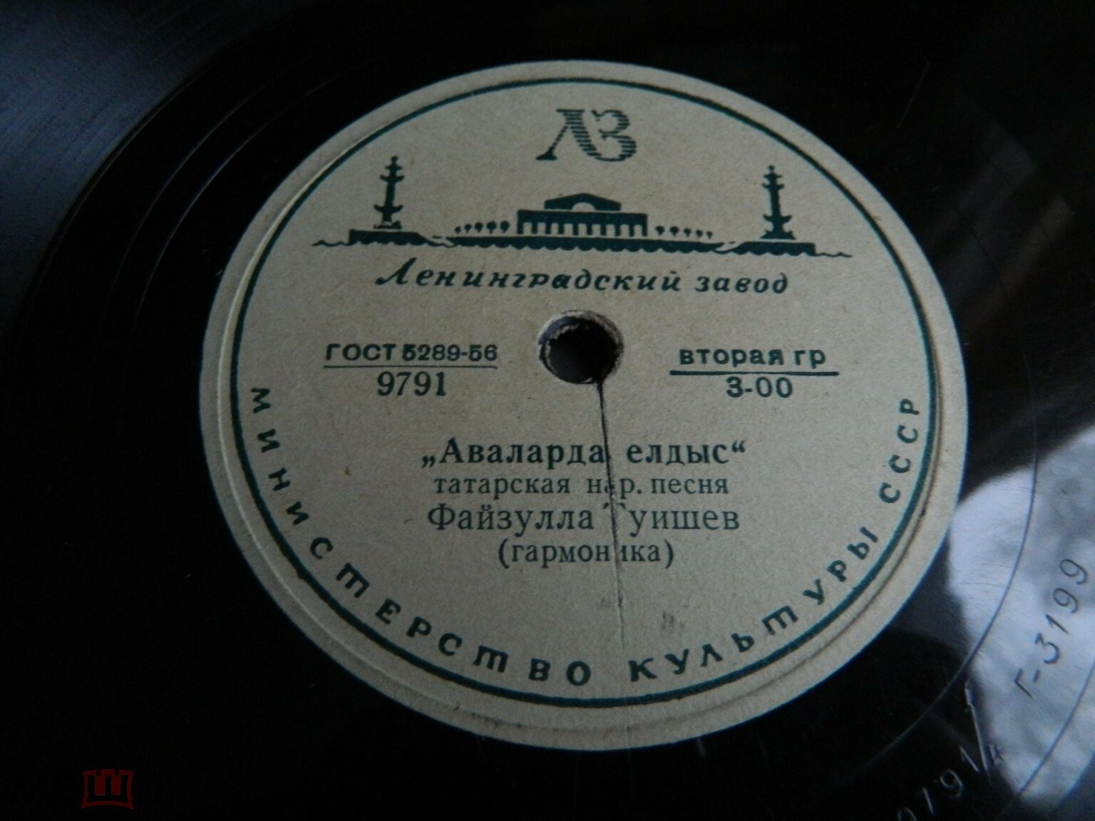 Файзулла Туишев (гармоника)