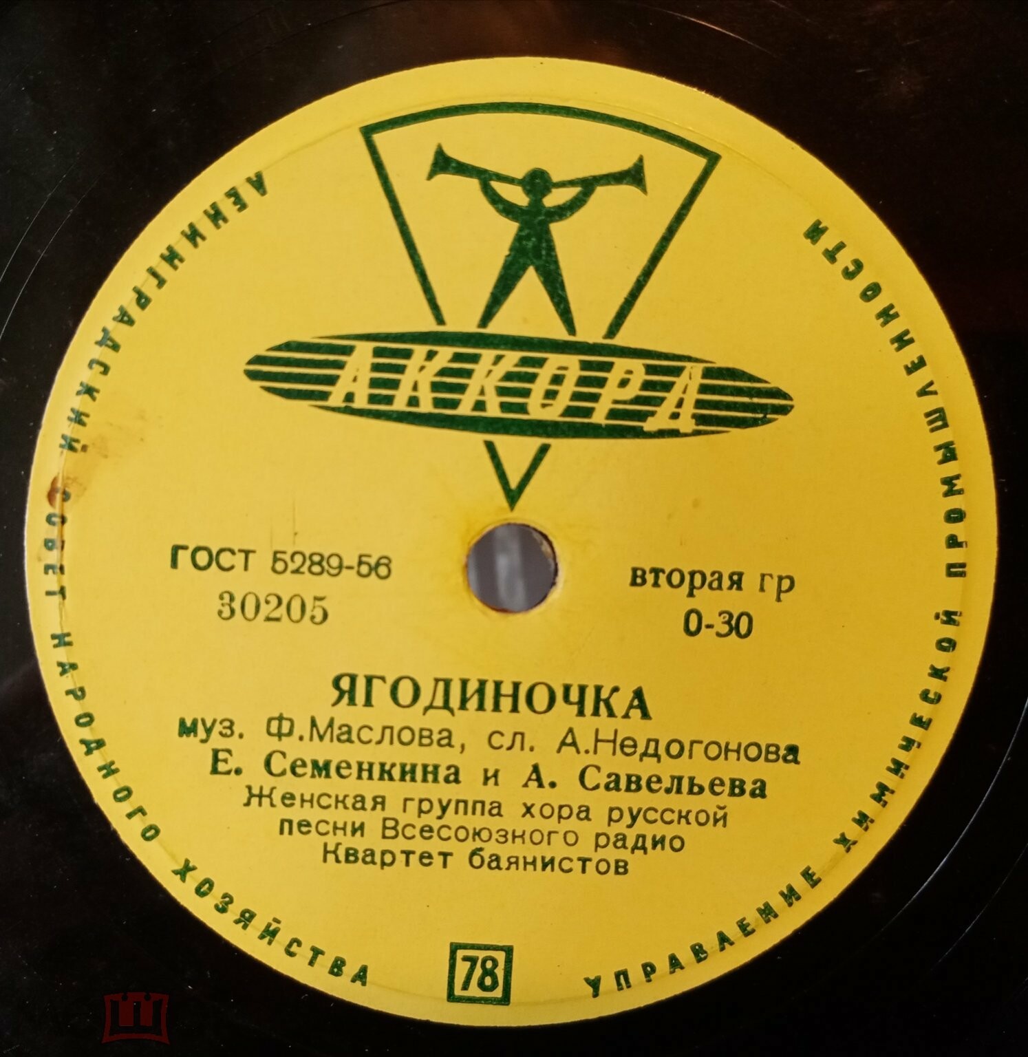 Огней так много золотых // Ягодиночка