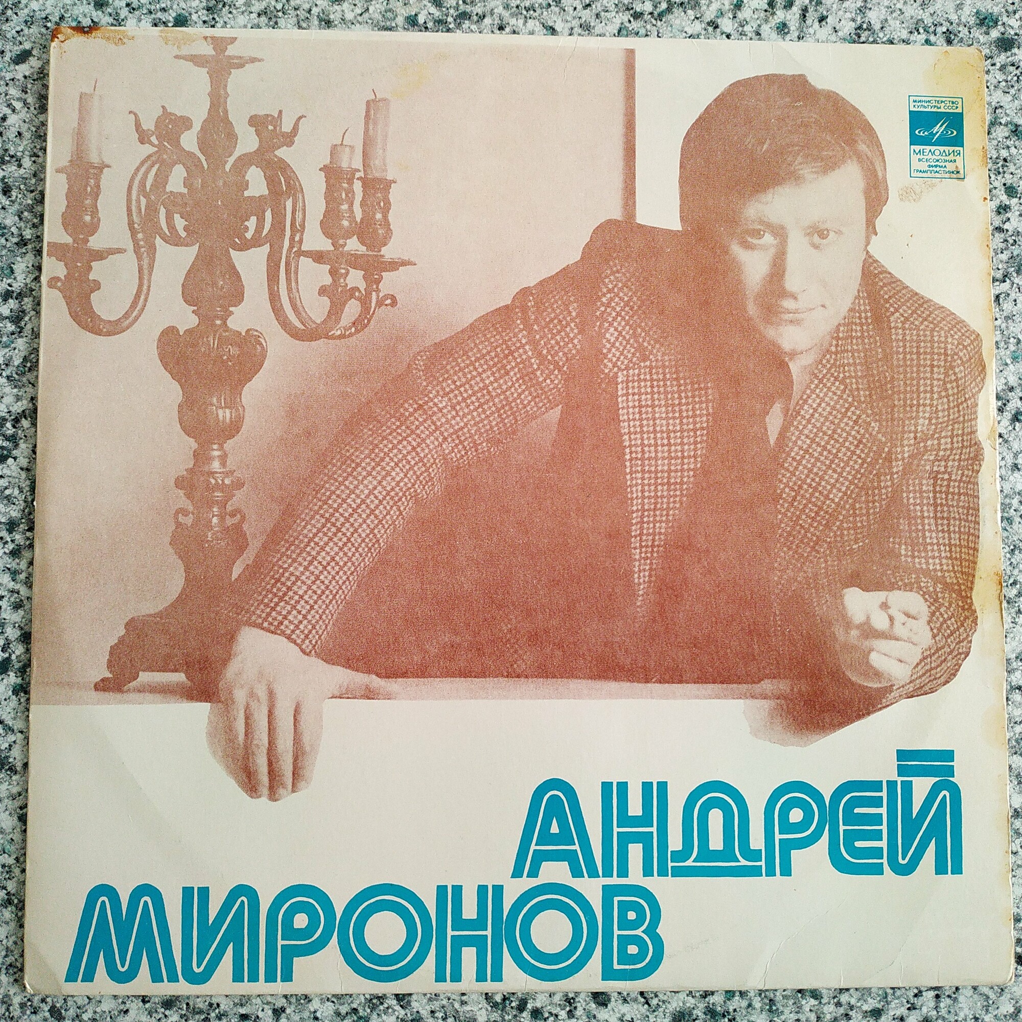 Поет Андрей Миронов