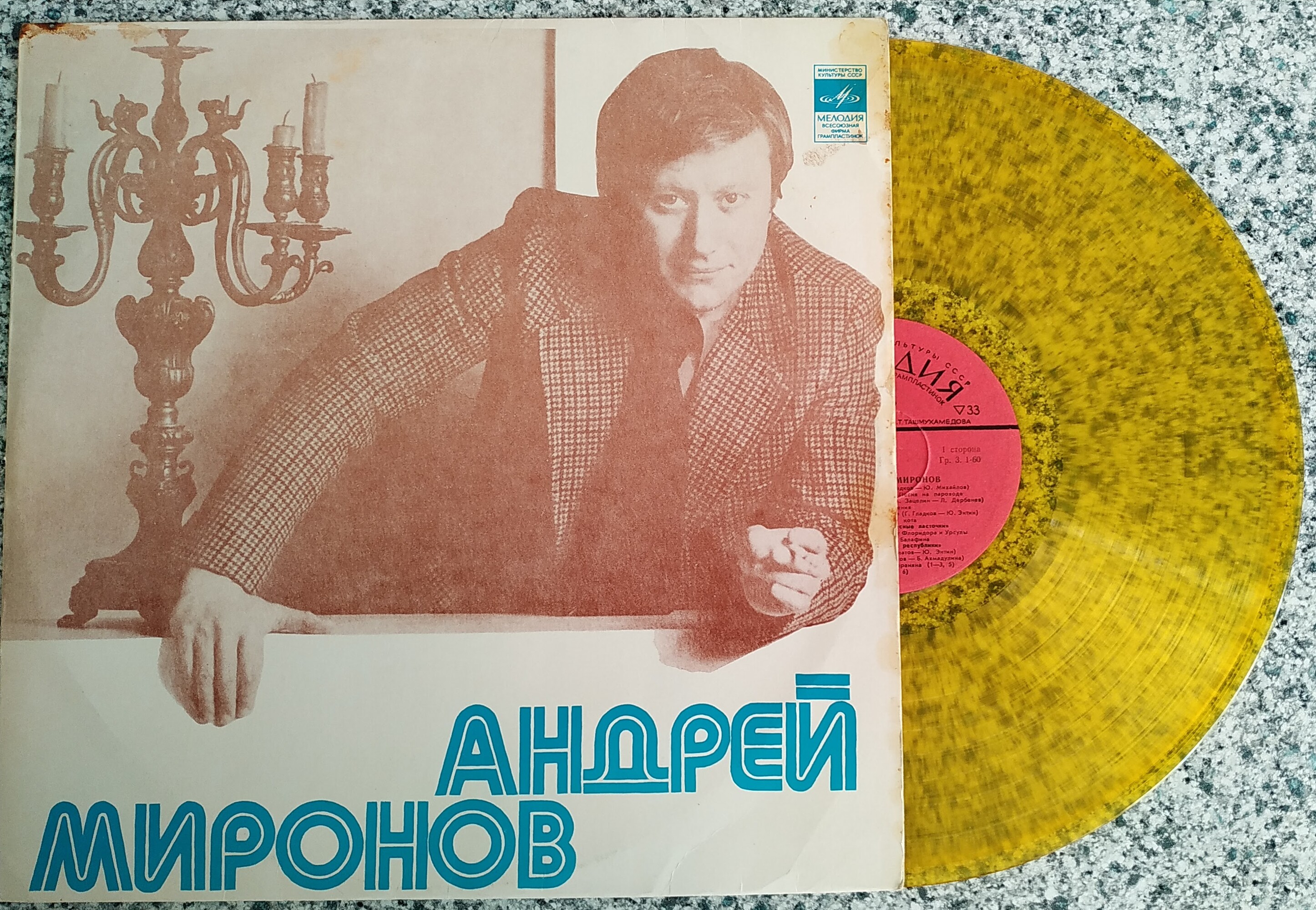 Поет Андрей Миронов