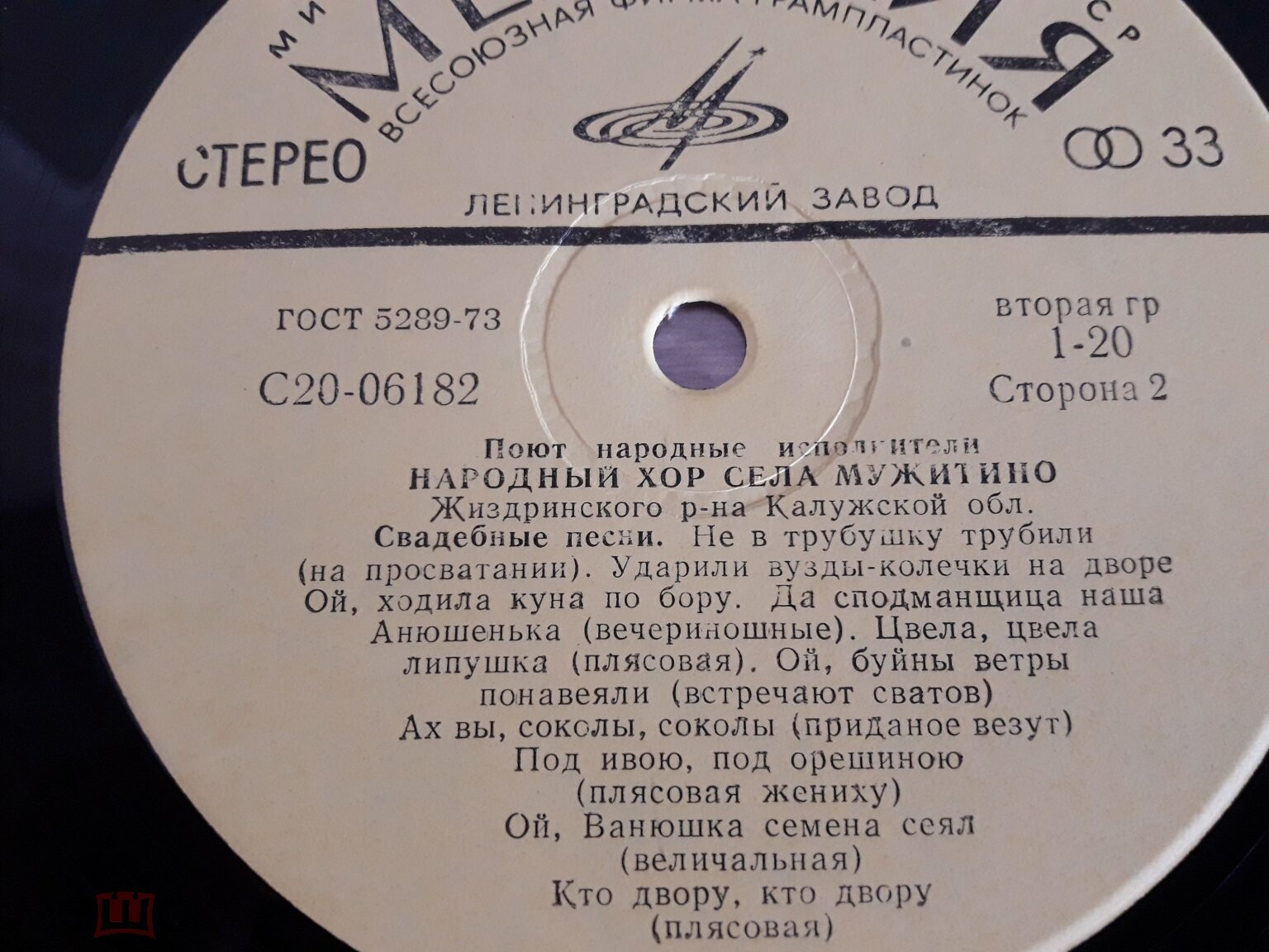 Поют народные исполнители