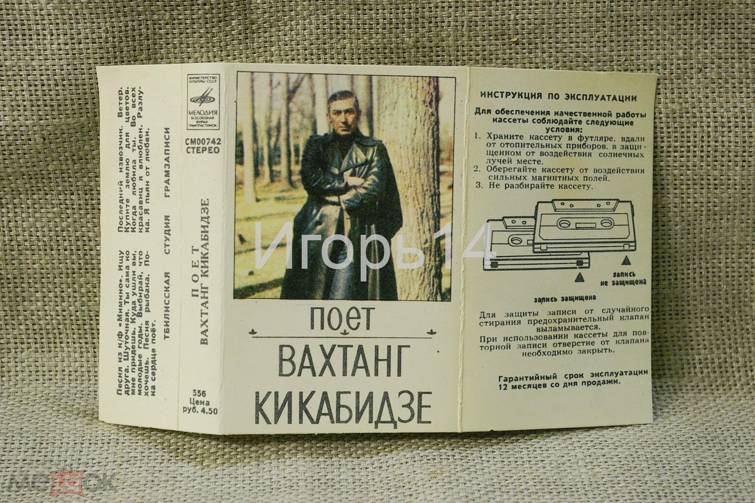 Поёт Вахтанг Кикабидзе