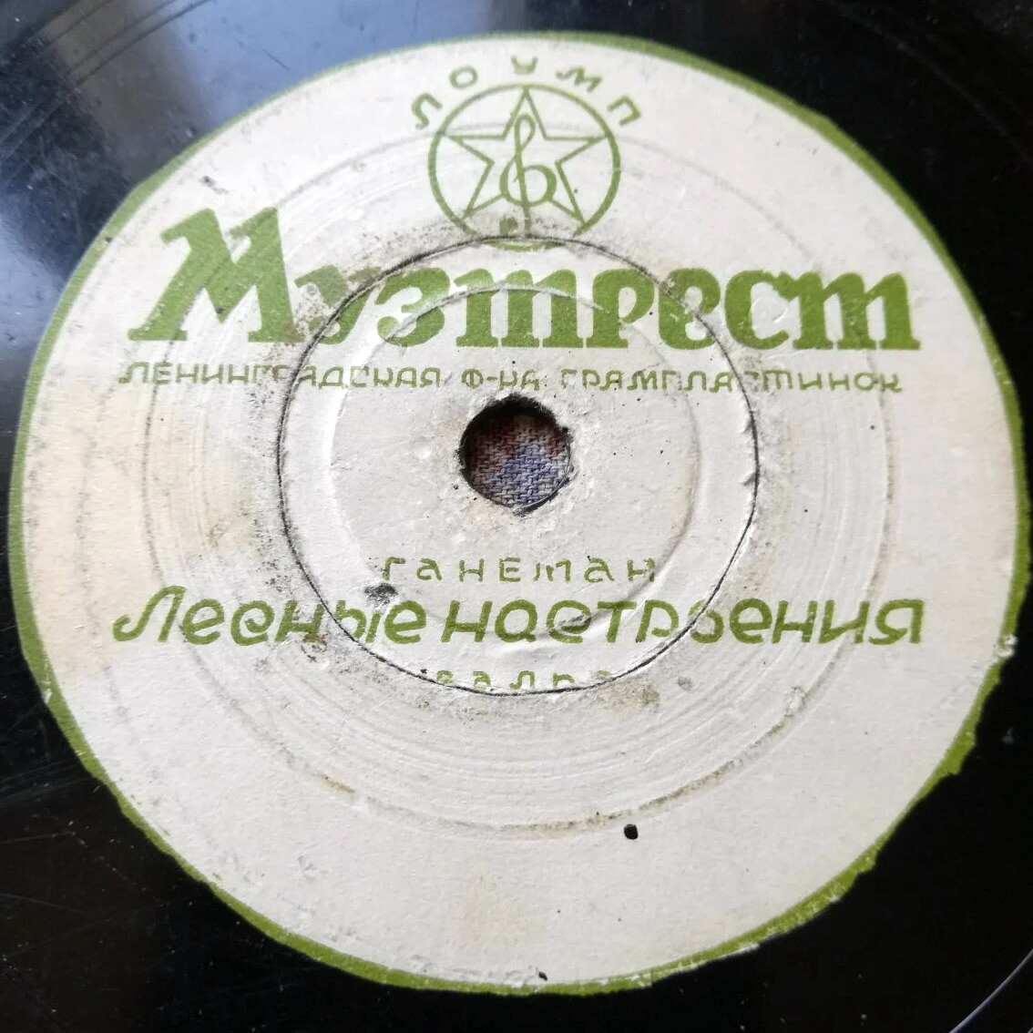 Лесные настроения // Мадрид