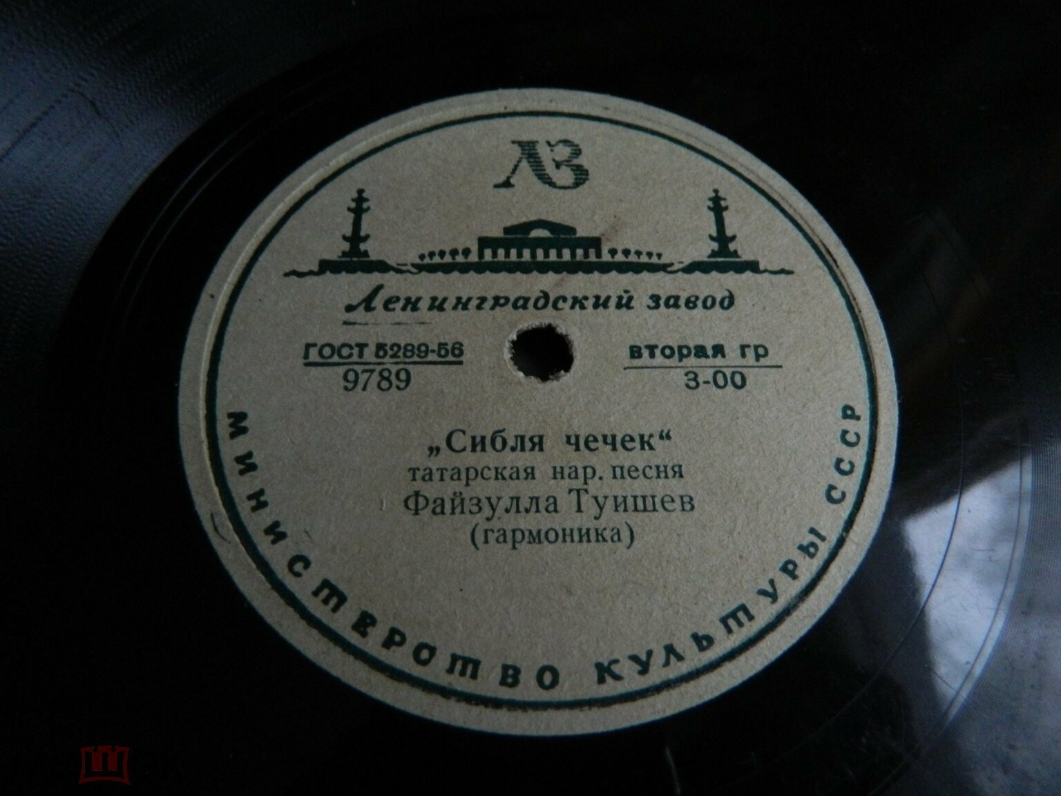 Файзулла Туишев (гармоника)