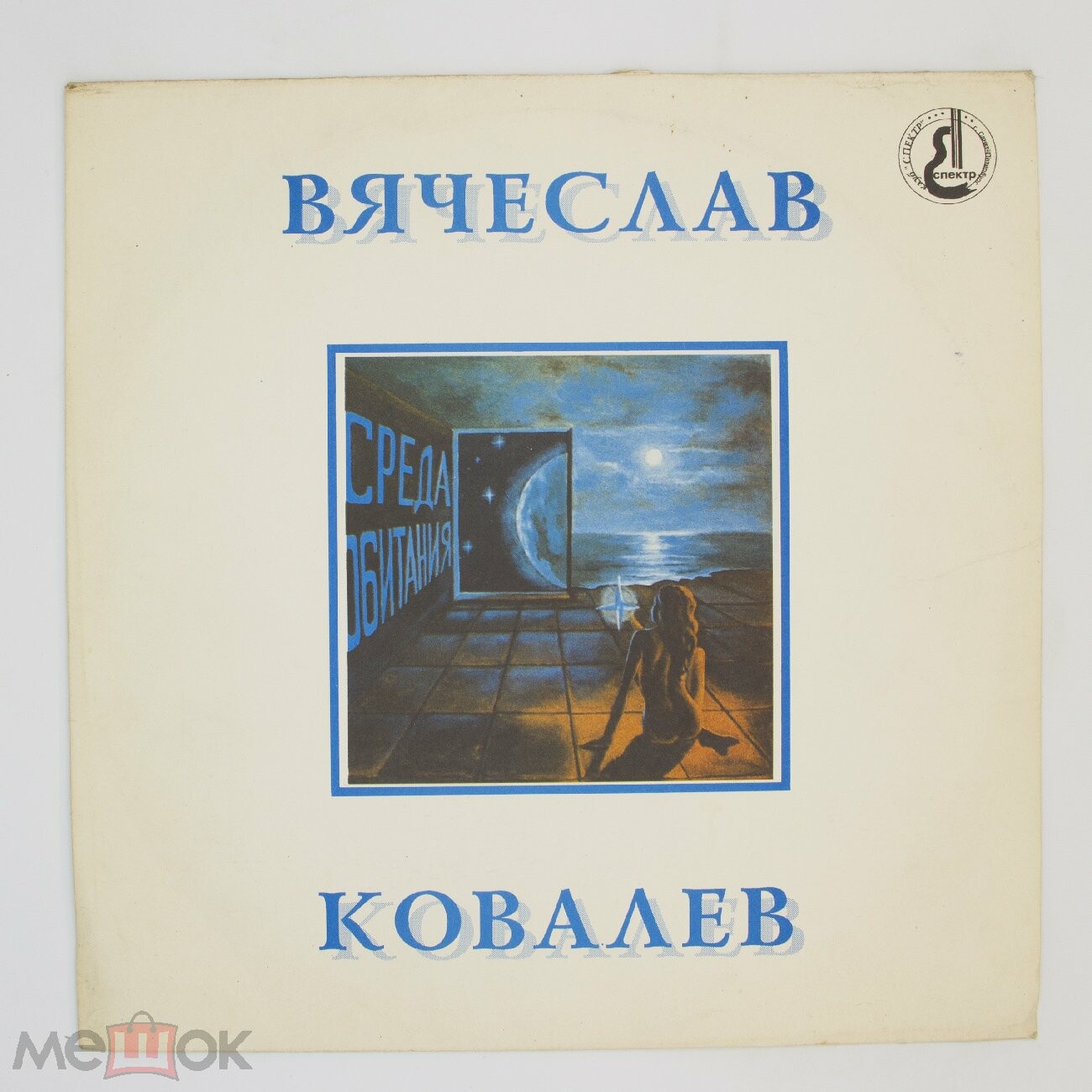Вячеслав Ковалев. Среда обитания