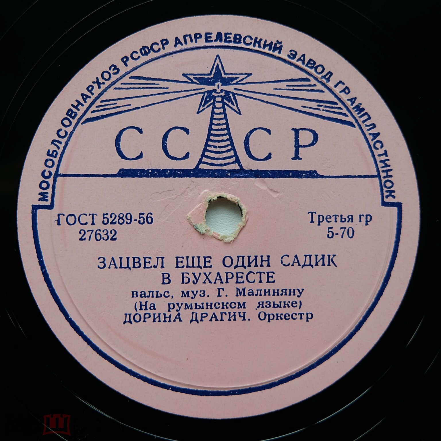 Зацвёл ещё один садик в Бухаресте / Когда любишь, жизнь принадлежит тебе