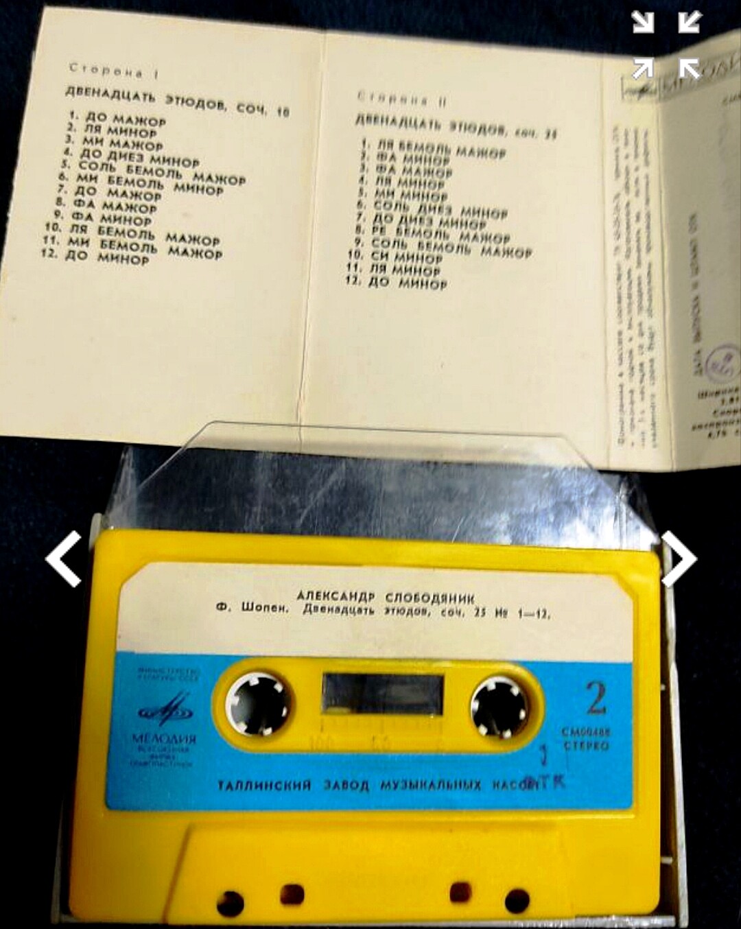 Александр Слободяник