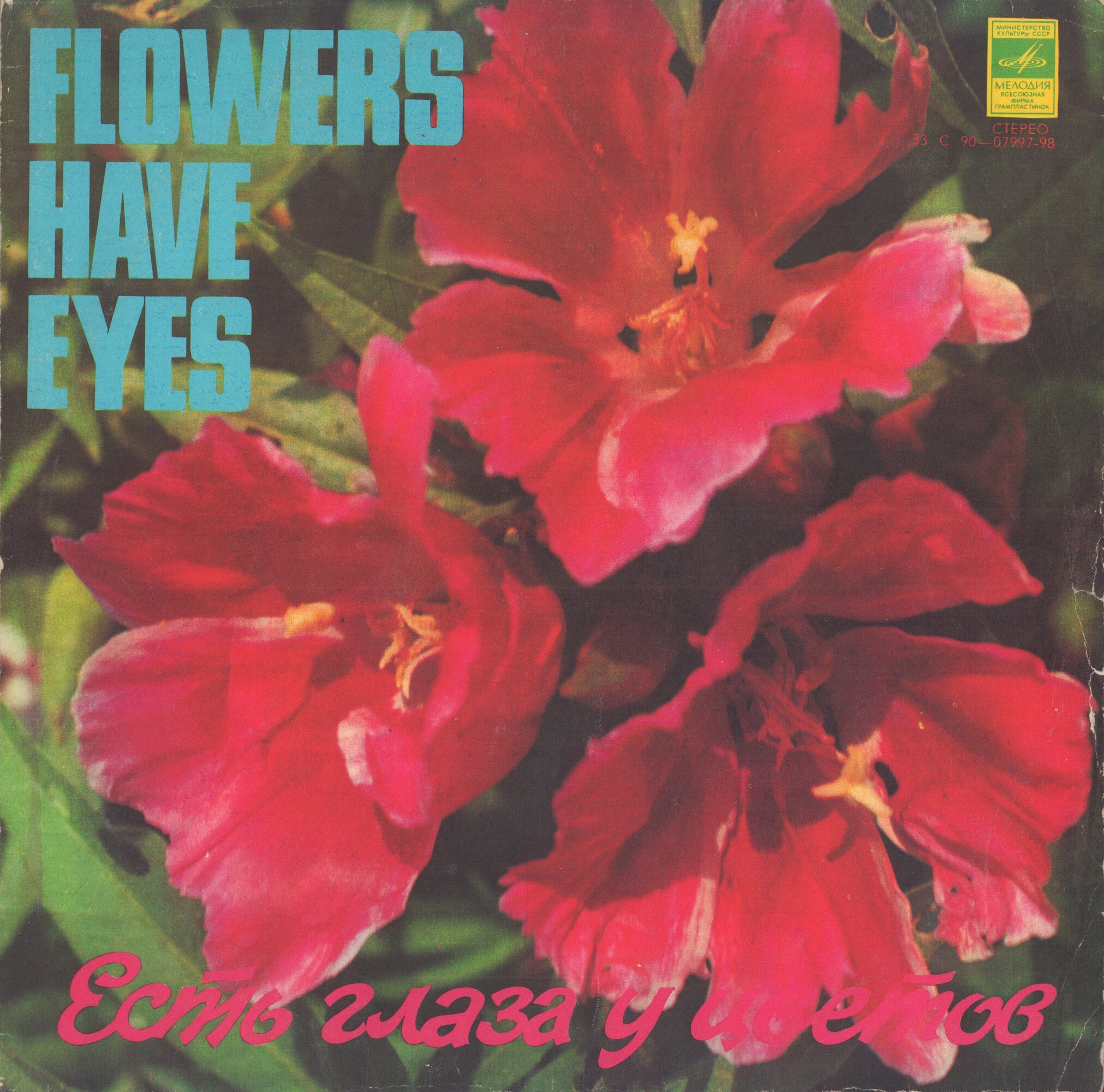 Есть глаза у цветов