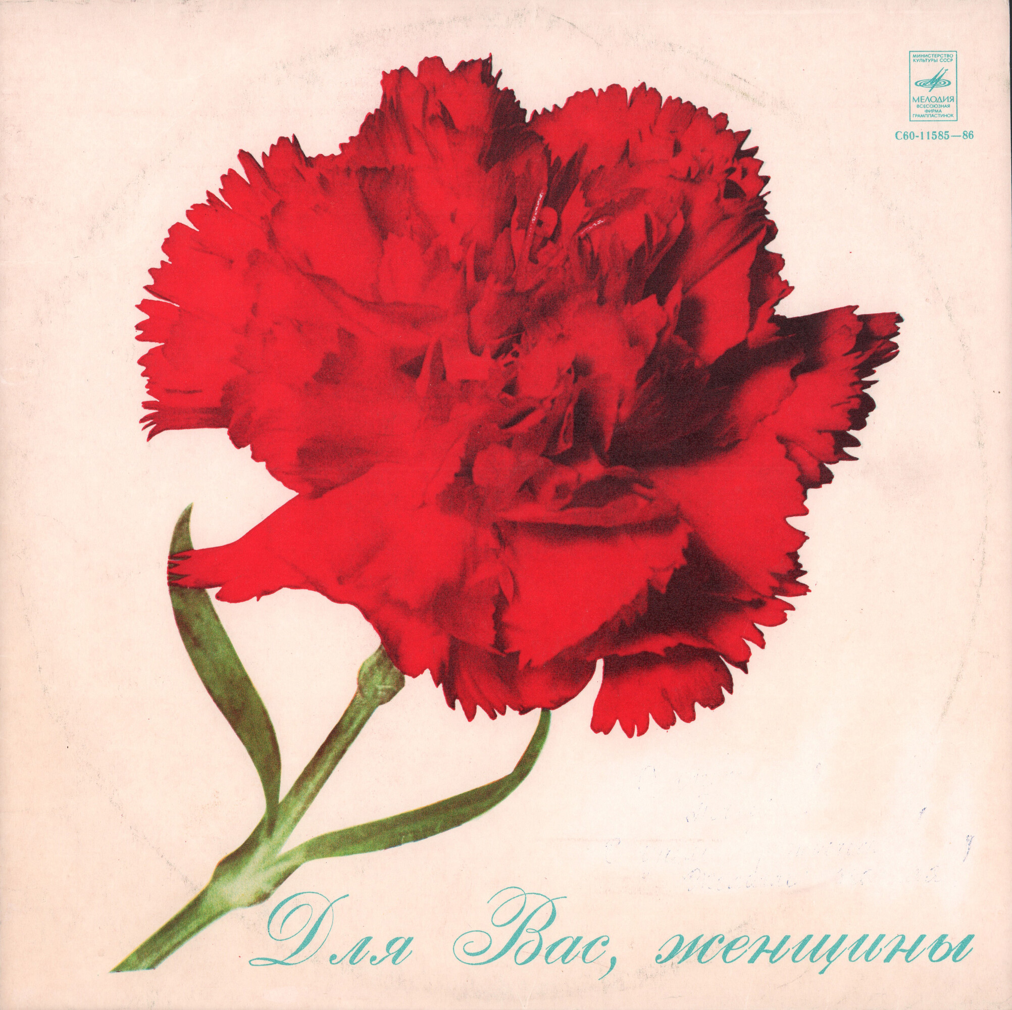 Для вас, женщины!