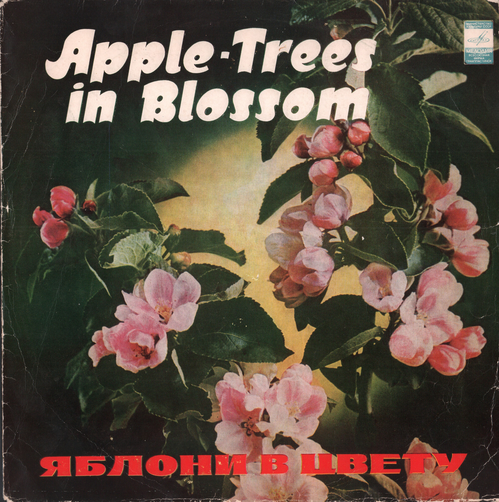 Яблони в цвету. Песни советских композиторов