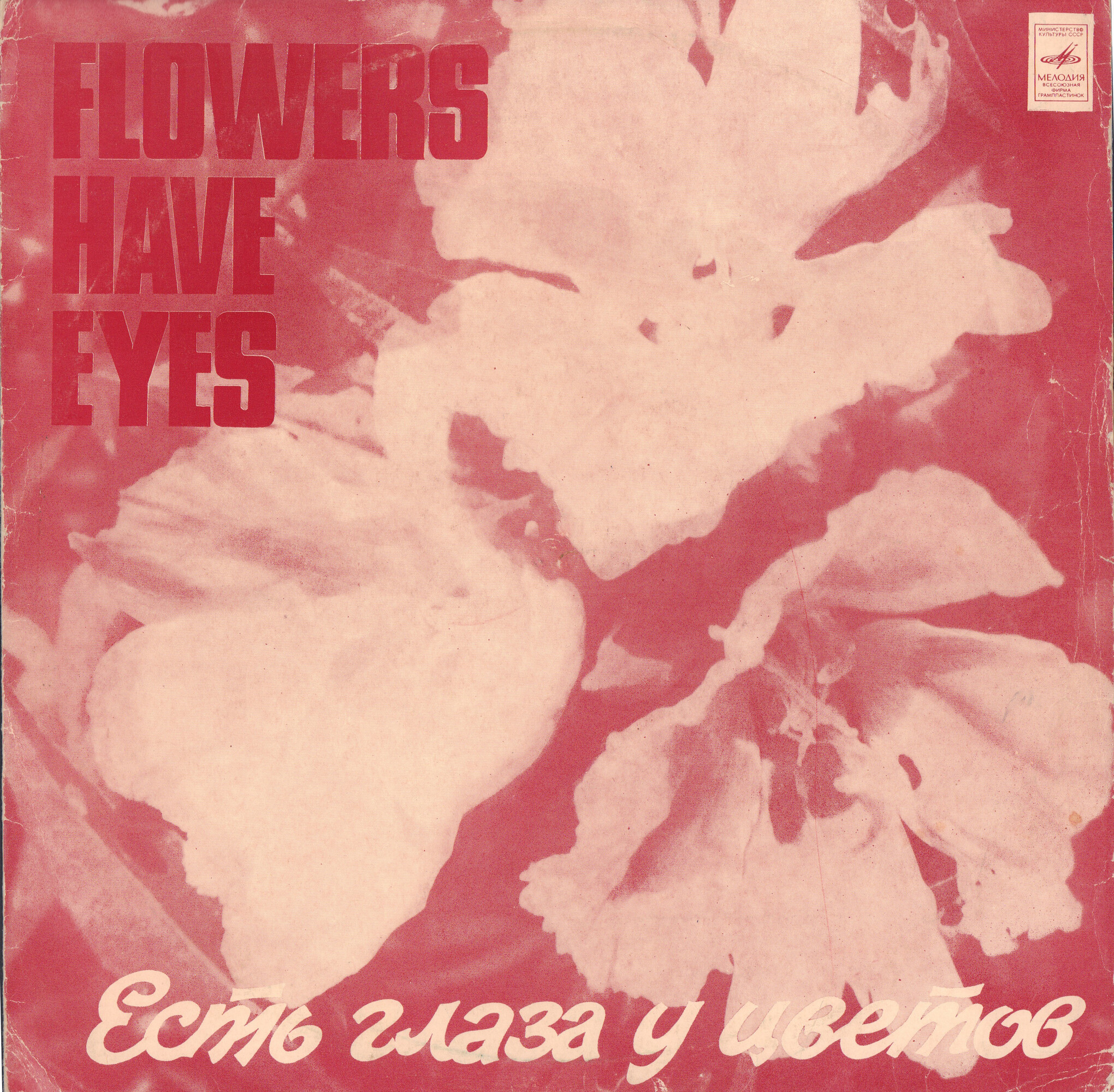 Есть глаза у цветов