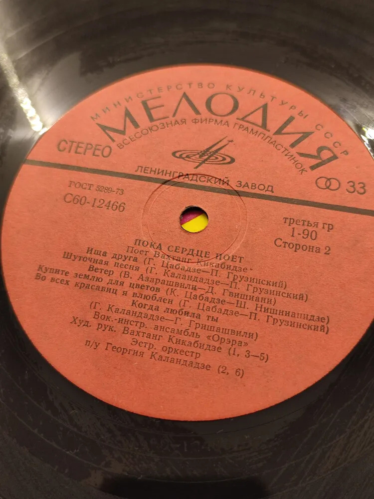 Вахтанг КИКАБИДЗЕ: «Пока сердце поет» (გულს სანამდე ემღერება) — на грузинском языке