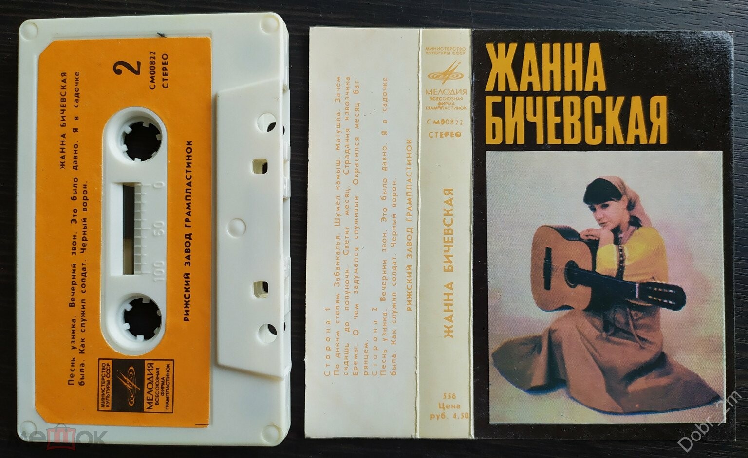 Жанна БИЧЕВСКАЯ