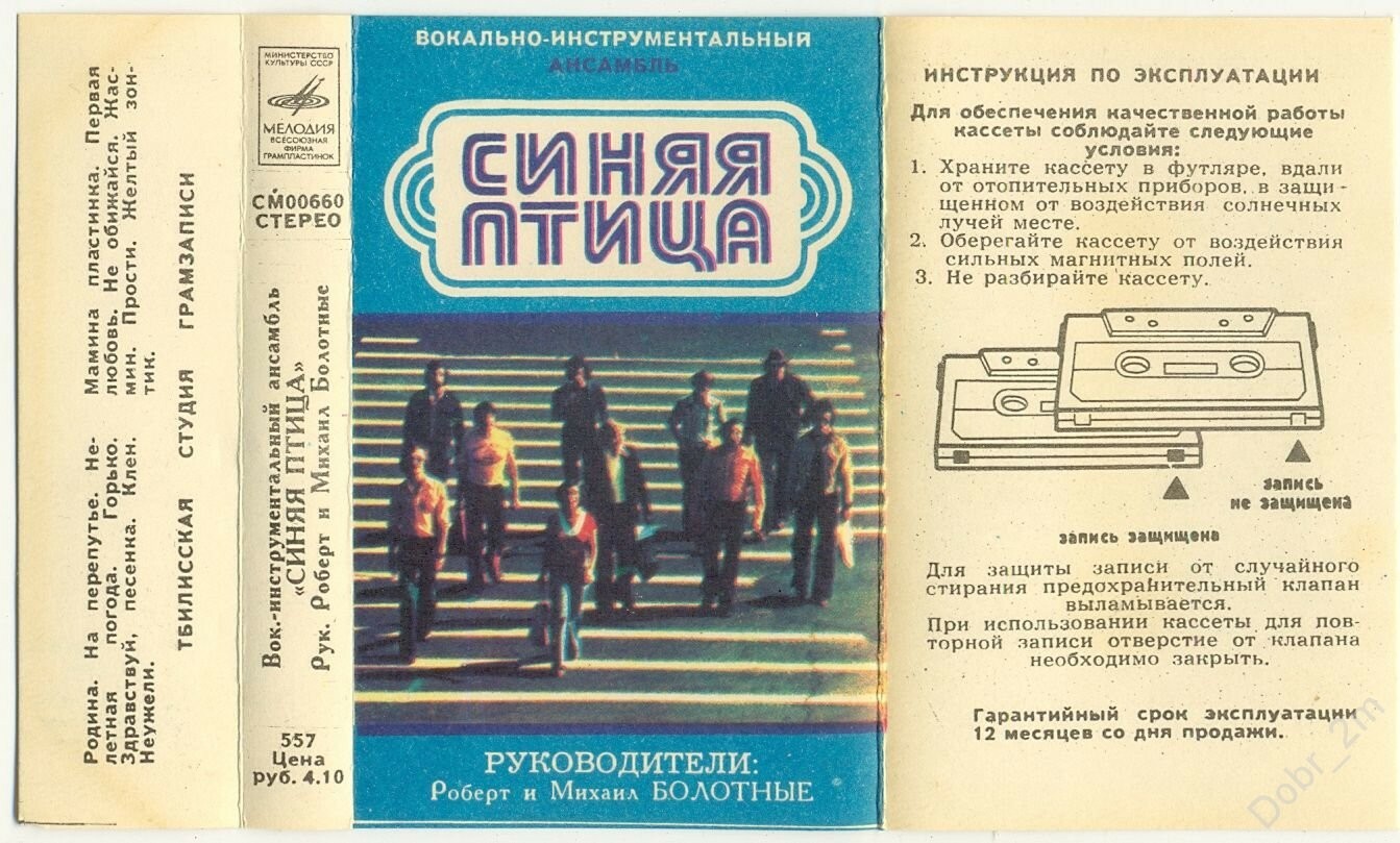 Вокально-инструментальный ансамбль "Синяя птица"