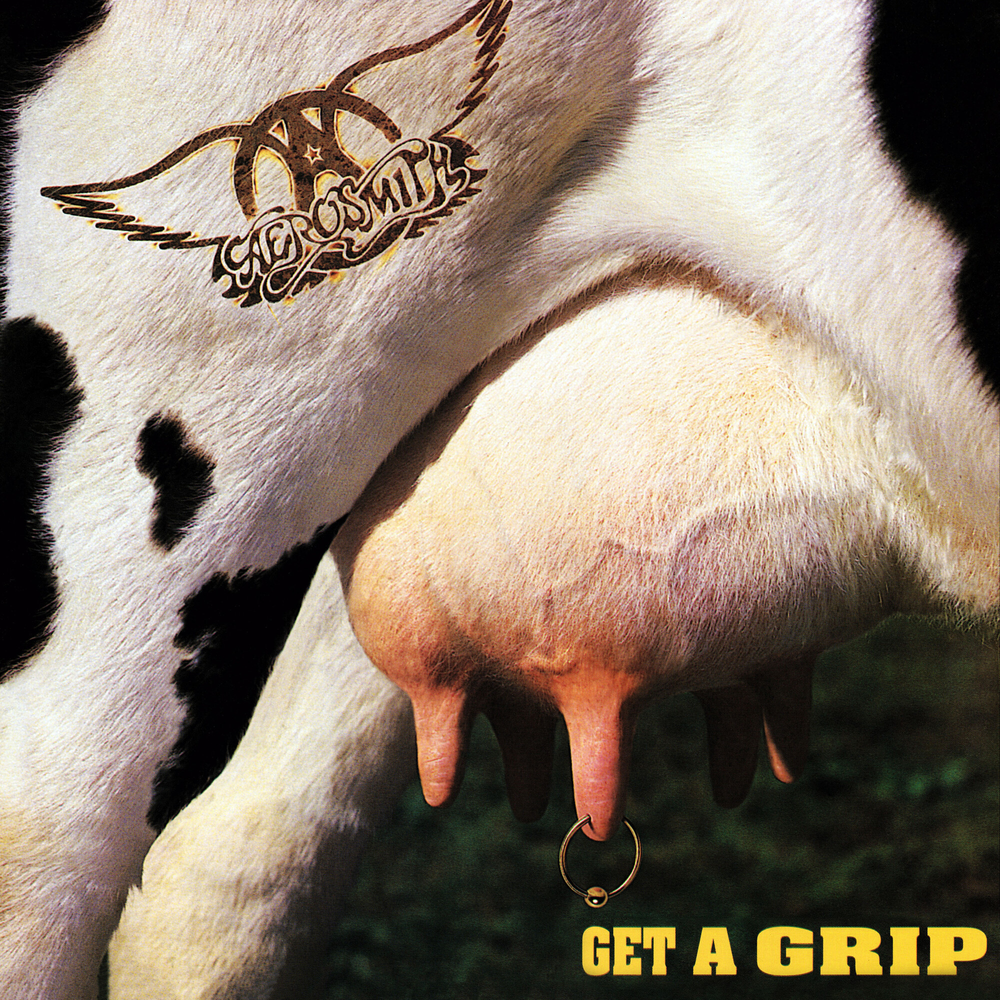 AEROSMITH - GET A GRIP