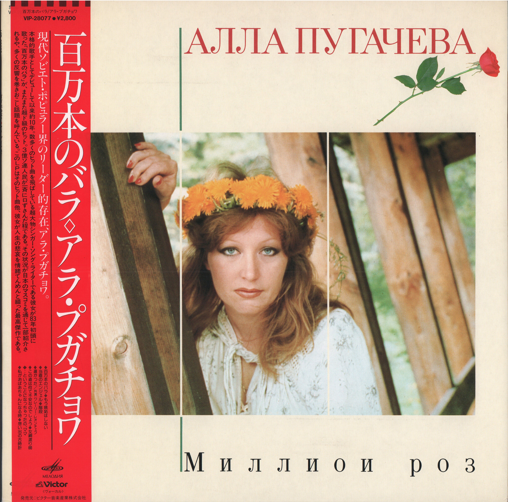 Алла Пугачева. «Миллион роз»