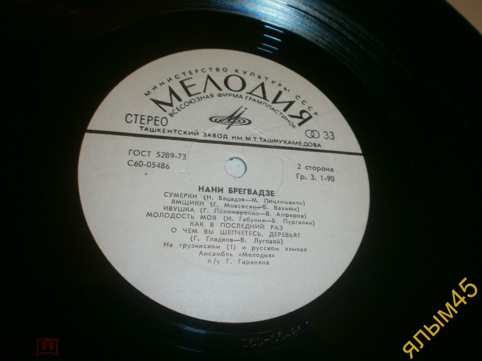 Нани Брегвадзе