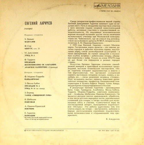 Евгений Ларичев (гитара)