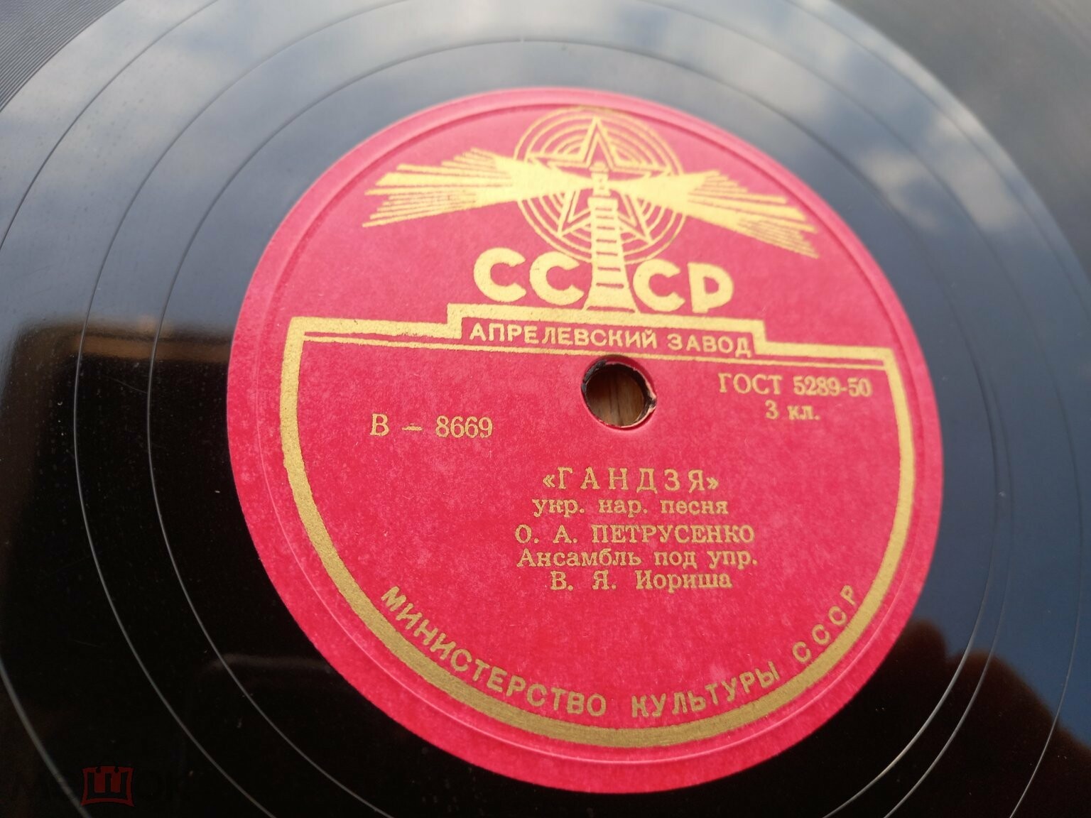 ТАМ ДЕ ЯТРИНЬ КРУТО ВЬЕТЬСЯ / ГАНДЗЯ