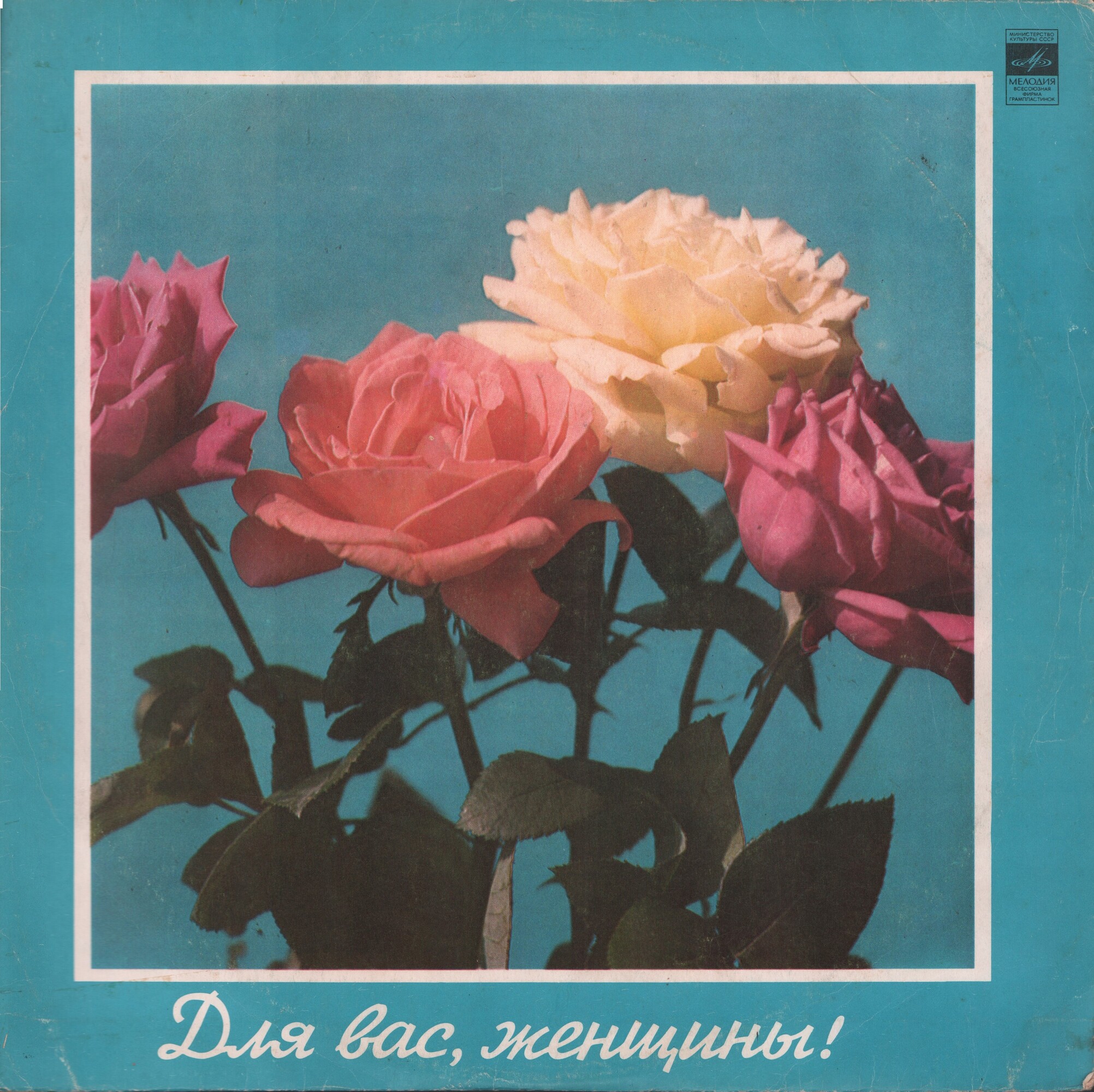 Для вас, женщины!