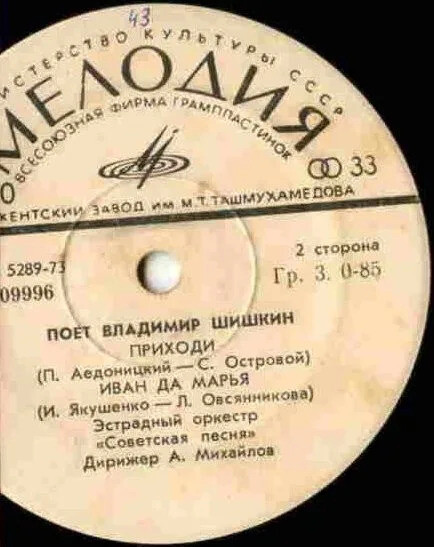 Поет Владимир ШИШКИН