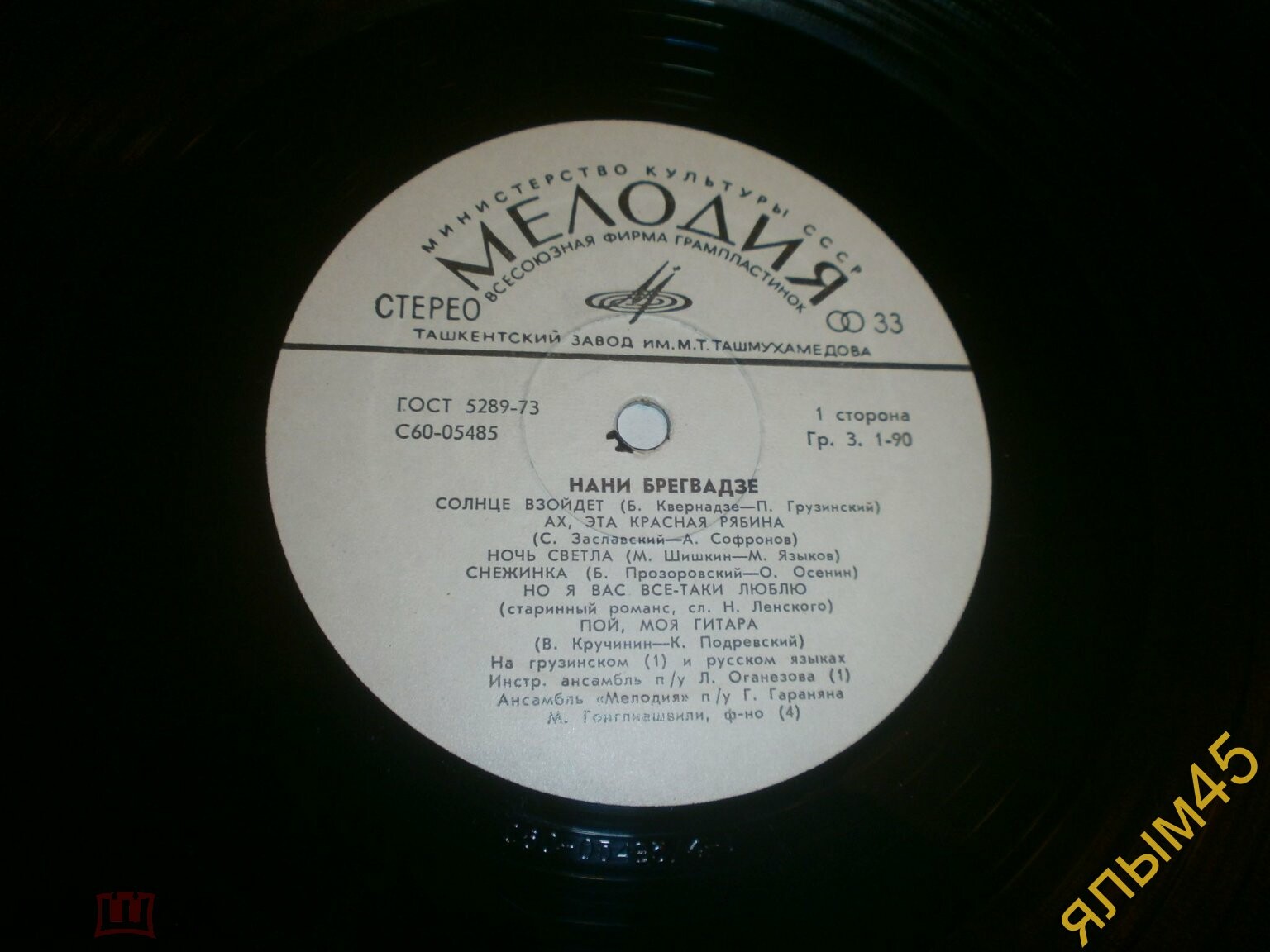 Нани Брегвадзе