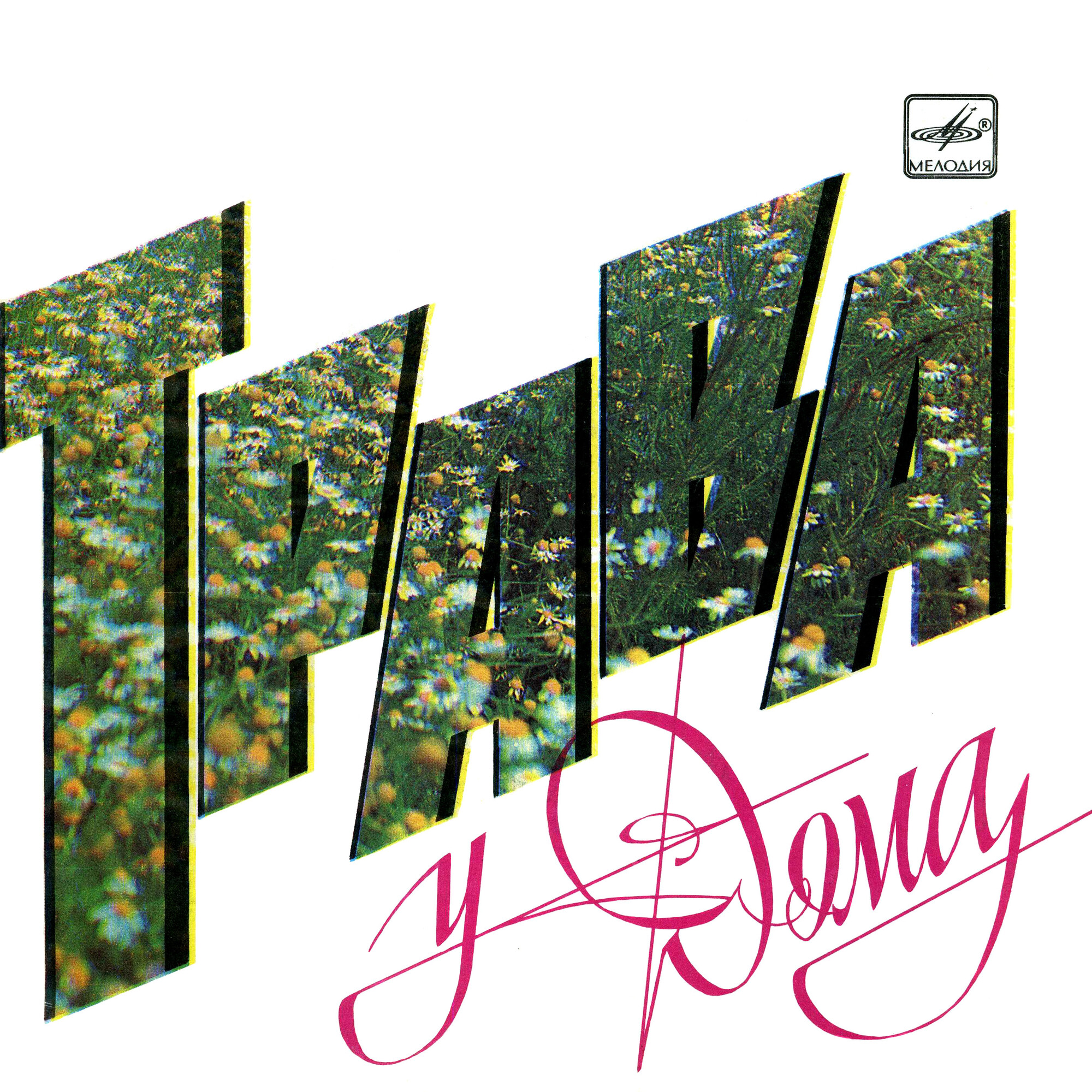 Трава у дома