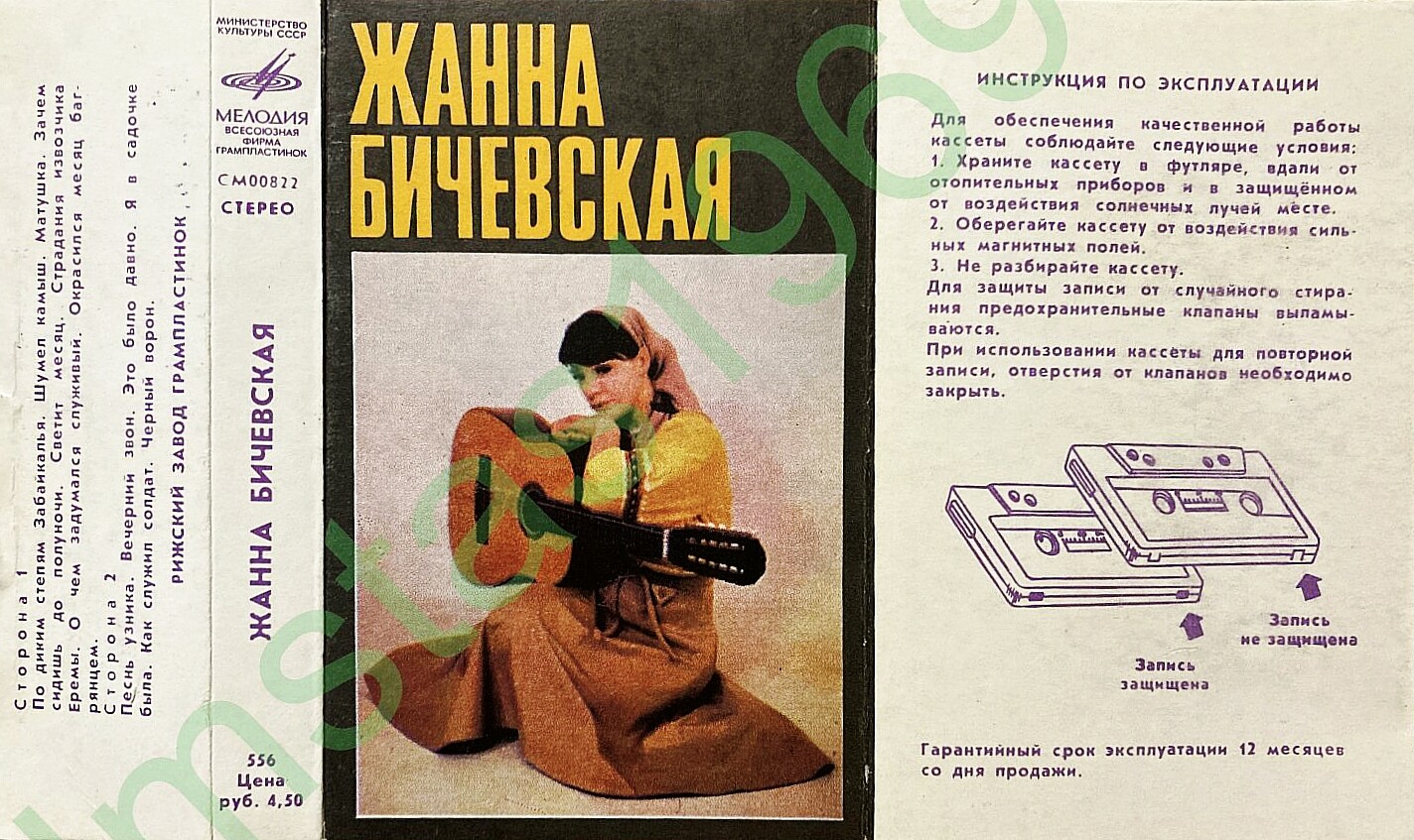 Жанна БИЧЕВСКАЯ