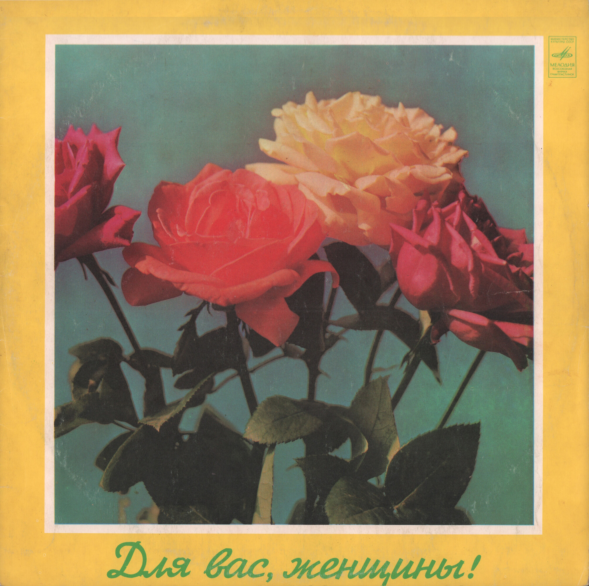 Для вас, женщины!