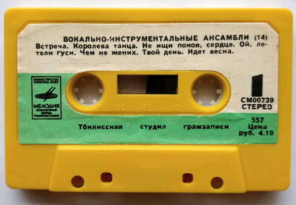 Вокально-инструментальные ансамбли (14)