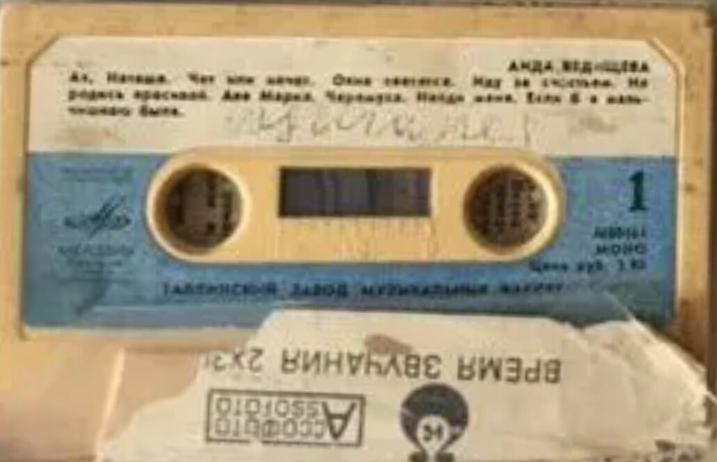 Аида Ведищева
