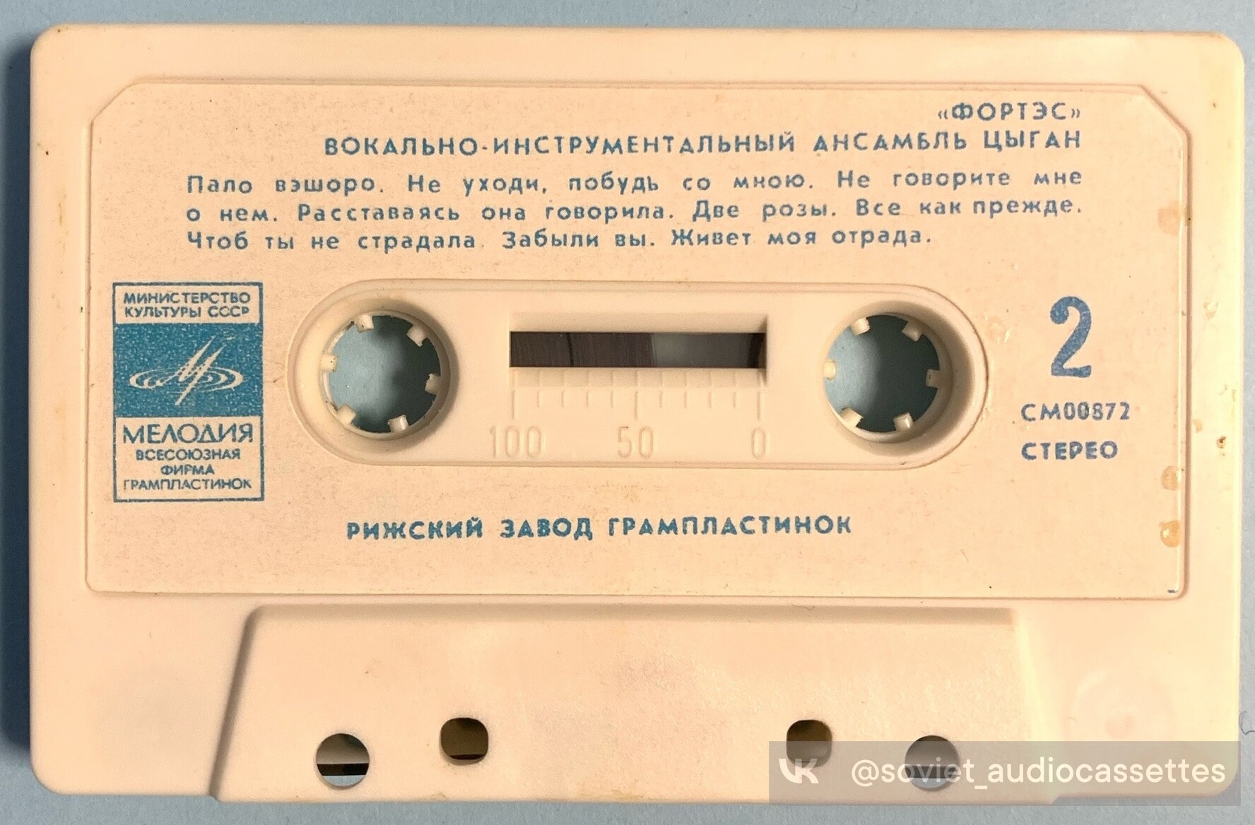 "Фортес" Вокально-инструментальный ансамбль цыган. Руководитель Л. Бродский