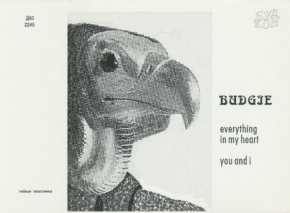 Budgie