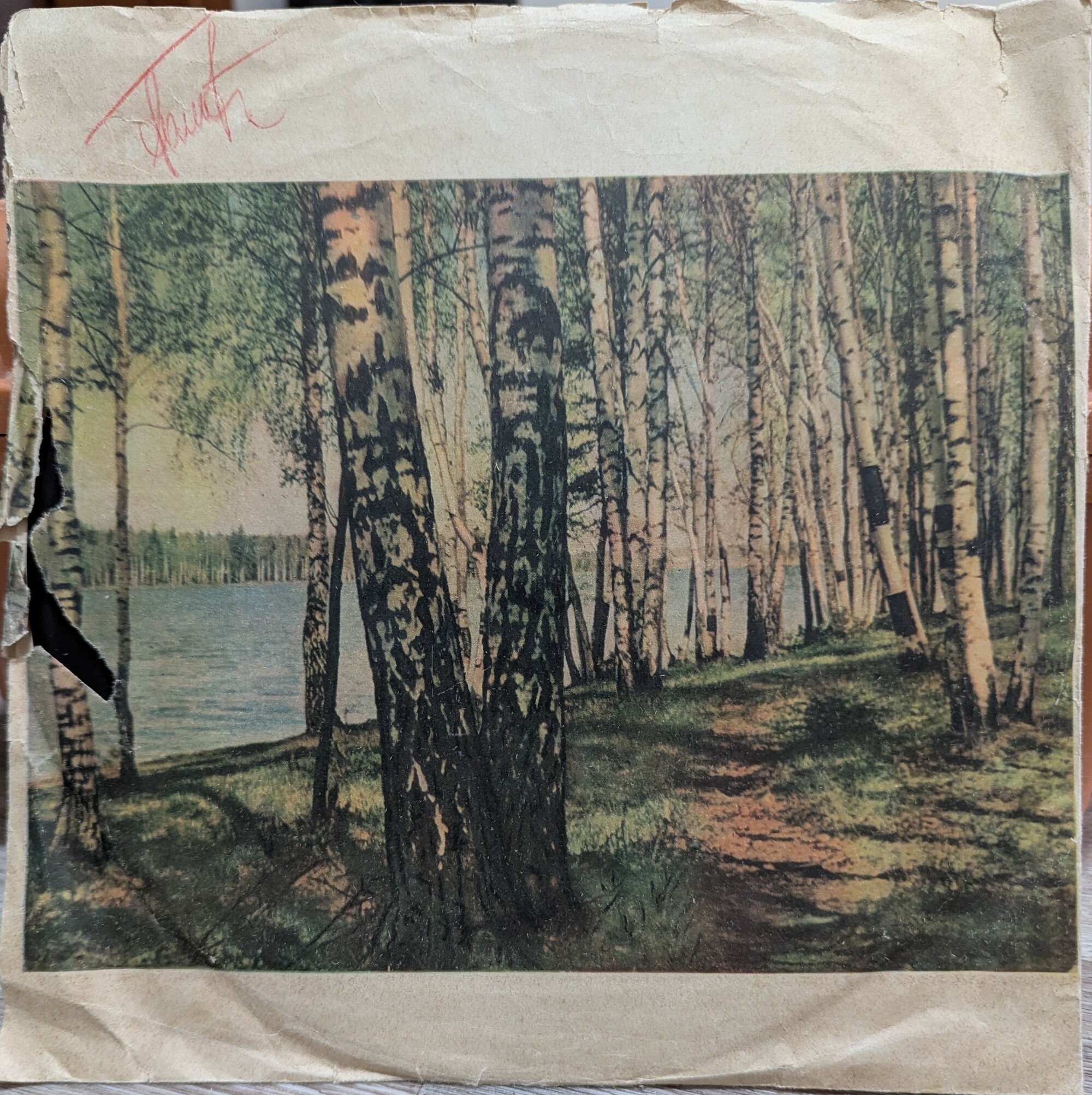 Березы / Правила. з.649