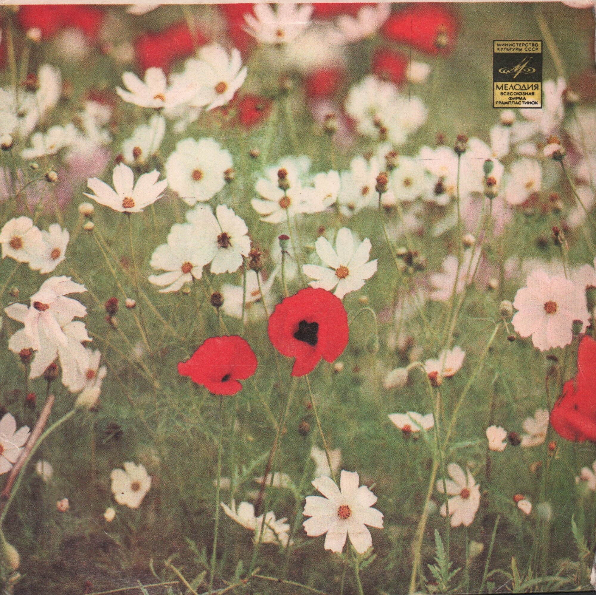 Стерео - Полевые цветы / 1978